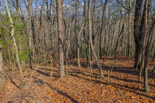 55 Spruce Drive, Ellijay, GA 30540