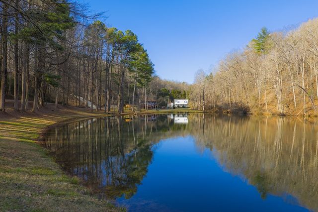 55 Spruce Drive, Ellijay, GA 30540