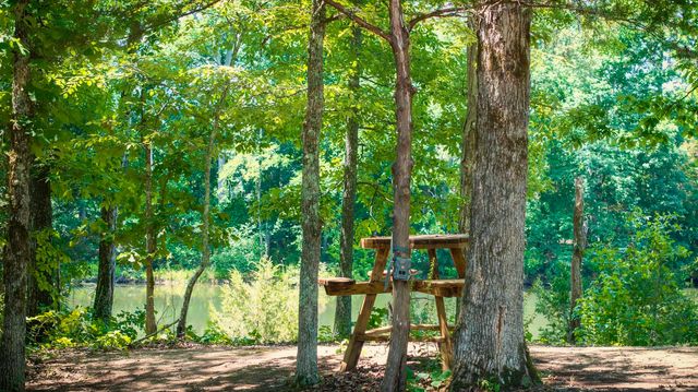 882 Lower River Road, Decatur, TN 37322