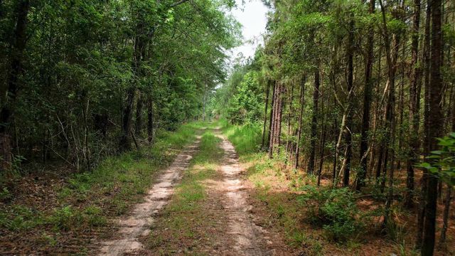 TBD Ben Nelson Road, Livingston, TX 77351