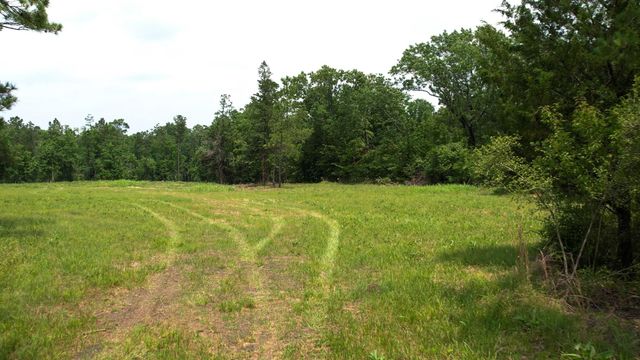 TBD Ben Nelson Road, Livingston, TX 77351