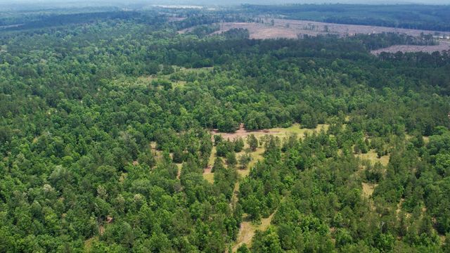 TBD Ben Nelson Road, Livingston, TX 77351