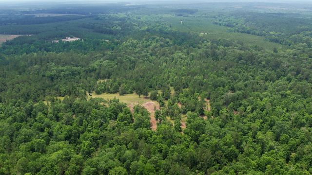 TBD Ben Nelson Road, Livingston, TX 77351