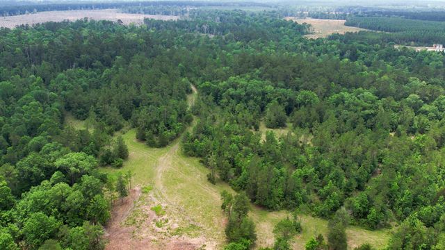 TBD Ben Nelson Road, Livingston, TX 77351