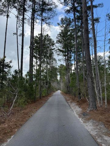 525 Dunswell Drive, Summerville, SC 29486