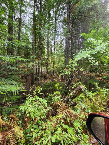 234XX N Mt Spokane Park Dr, Mead, WA 99021