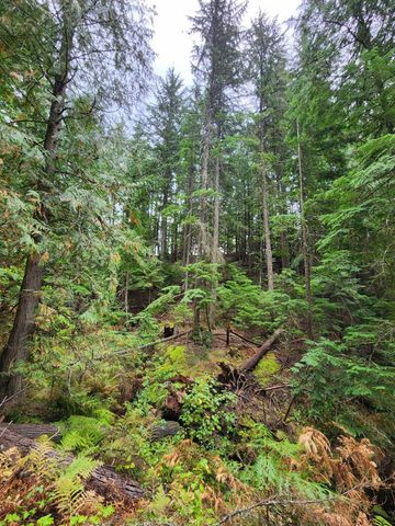 234XX N Mt Spokane Park Dr, Mead, WA 99021
