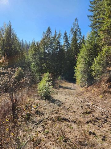 234XX N Mt Spokane Park Dr, Mead, WA 99021