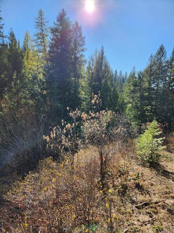 234XX N Mt Spokane Park Dr, Mead, WA 99021