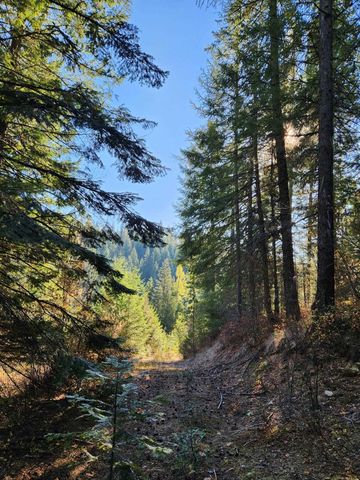 234XX N Mt Spokane Park Dr, Mead, WA 99021