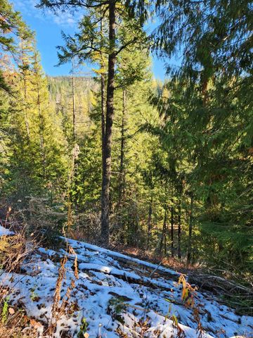 234XX N Mt Spokane Park Dr, Mead, WA 99021
