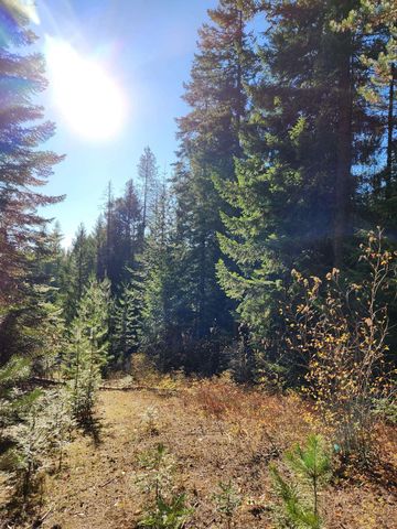 234XX N Mt Spokane Park Dr, Mead, WA 99021