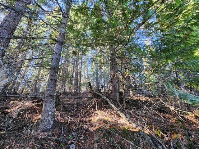 234XX N Mt Spokane Park Dr, Mead, WA 99021