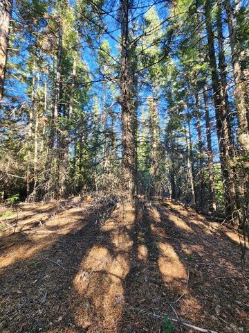 234XX N Mt Spokane Park Dr, Mead, WA 99021