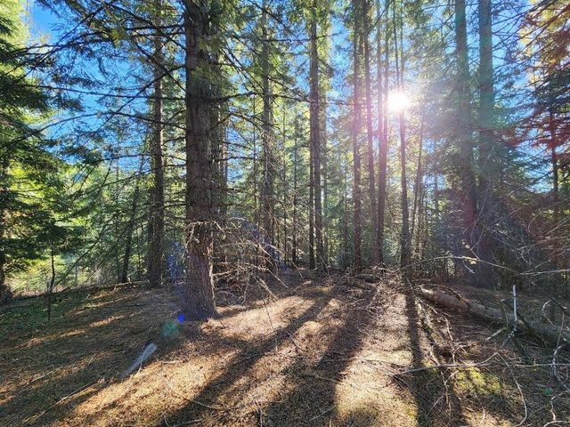234XX N Mt Spokane Park Dr, Mead, WA 99021