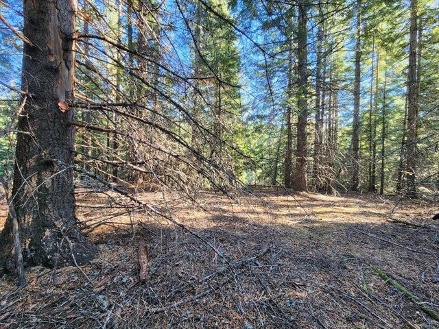234XX N Mt Spokane Park Dr, Mead, WA 99021