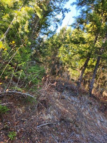 234XX N Mt Spokane Park Dr, Mead, WA 99021