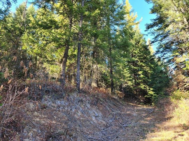 234XX N Mt Spokane Park Dr, Mead, WA 99021