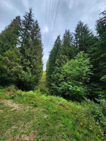 234XX N Mt Spokane Park Dr, Mead, WA 99021