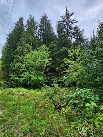 234XX N Mt Spokane Park Dr, Mead, WA 99021