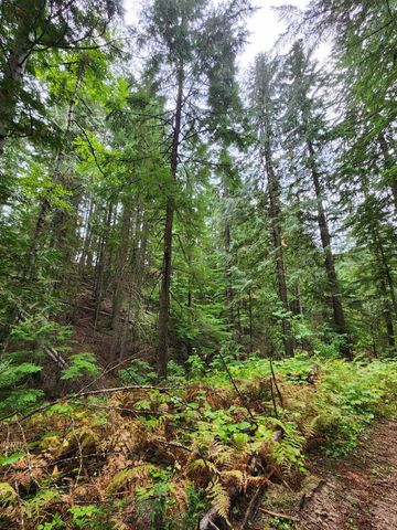 234XX N Mt Spokane Park Dr, Mead, WA 99021