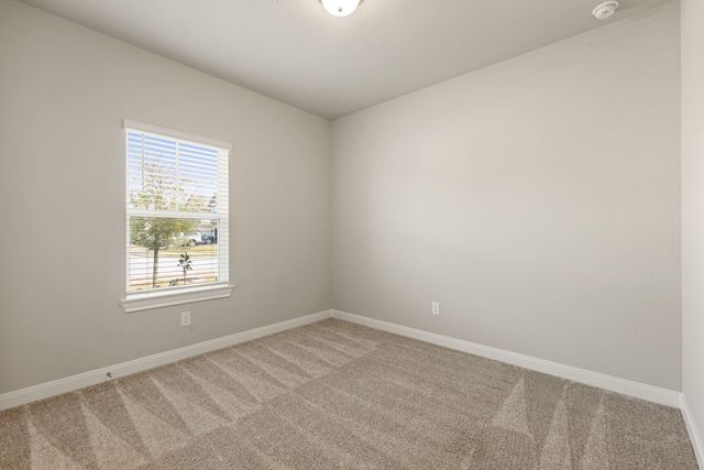 17929 Canopy Trace Court, Conroe, TX 77316