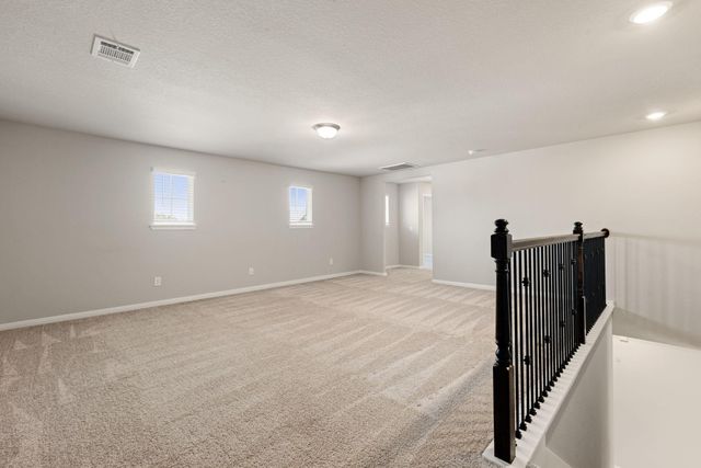 17929 Canopy Trace Court, Conroe, TX 77316