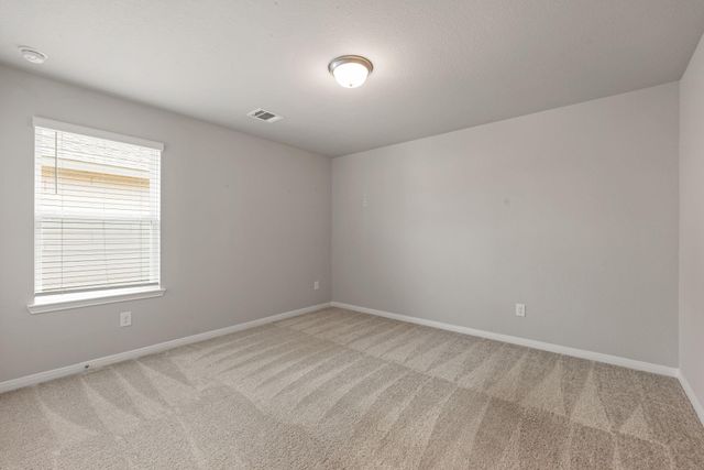 17929 Canopy Trace Court, Conroe, TX 77316