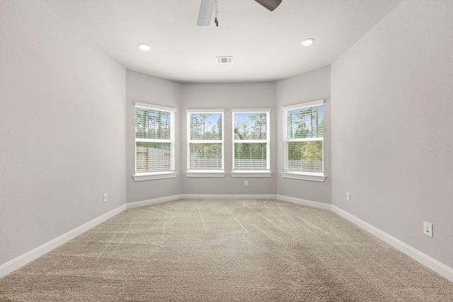 17929 Canopy Trace Court, Conroe, TX 77316