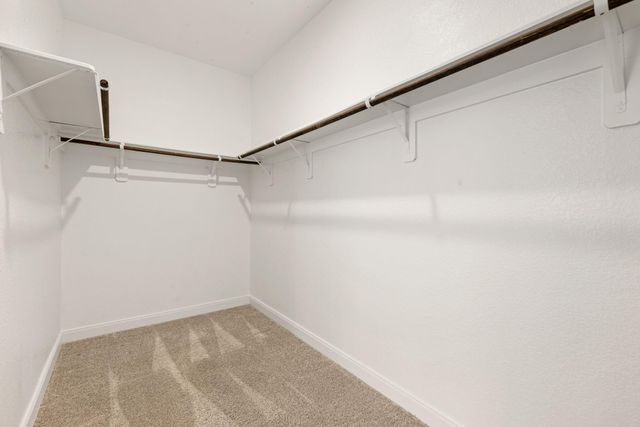 17929 Canopy Trace Court, Conroe, TX 77316