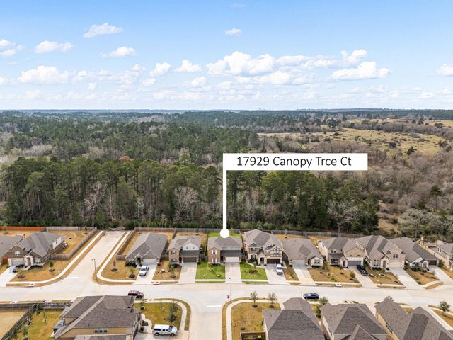 17929 Canopy Trace Court, Conroe, TX 77316