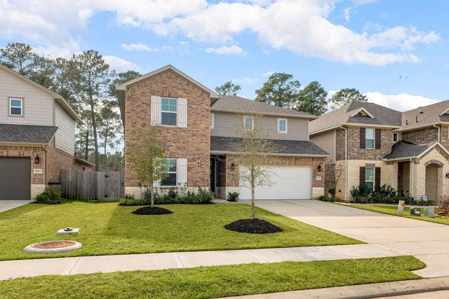 17929 Canopy Trace Court, Conroe, TX 77316