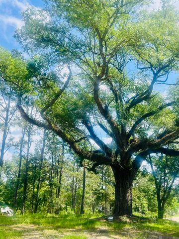 9756 Plank Rd, Clinton, LA 70722