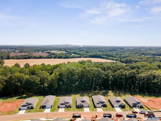 28859 Nature Trail Drive, Harvest, AL 35749