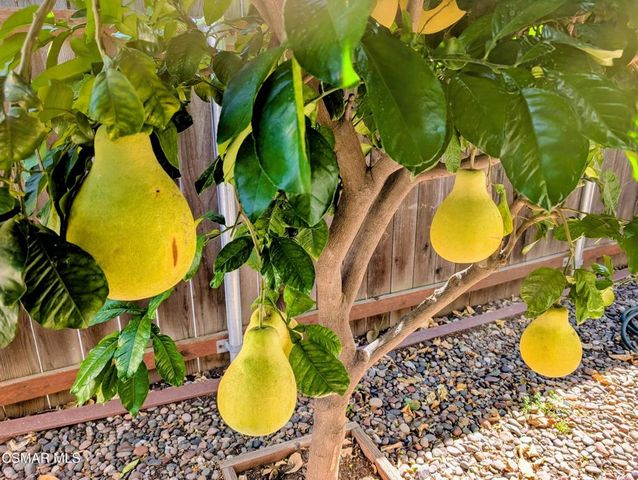 1623 Fordham Avenue, Thousand Oaks, CA 91360