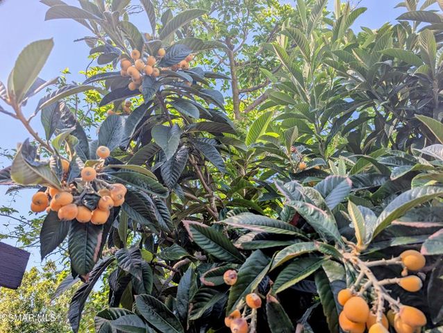 1623 Fordham Avenue, Thousand Oaks, CA 91360