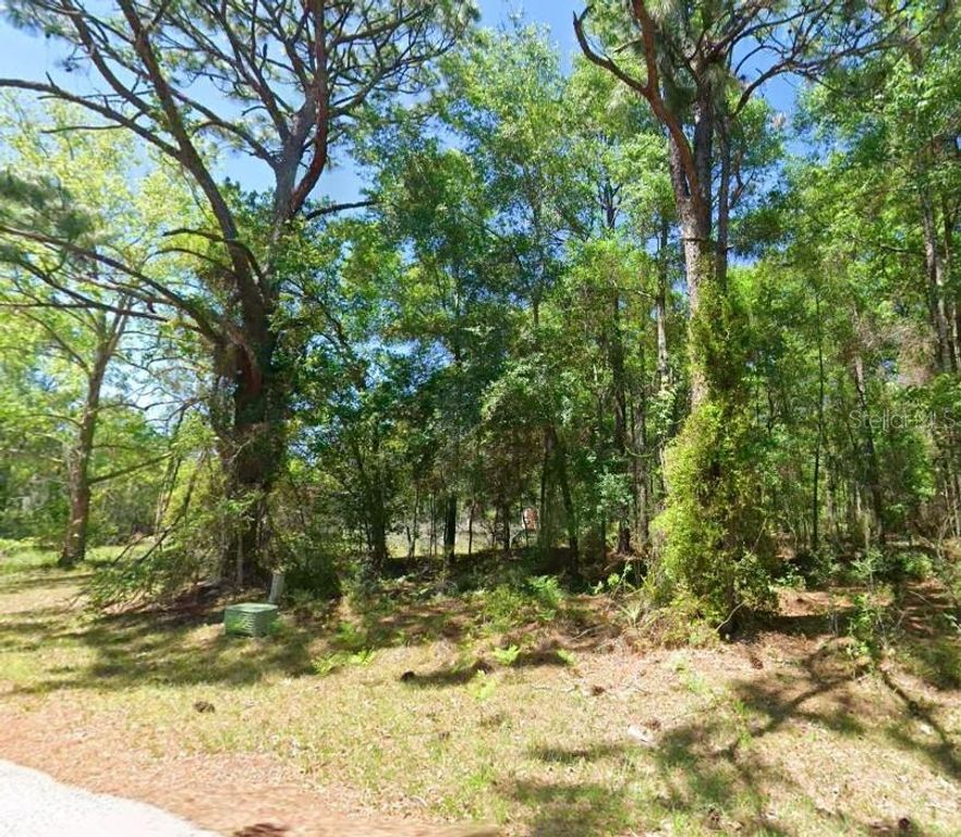 2581 W PHARAOH COURT 28, Lecanto, FL 34461