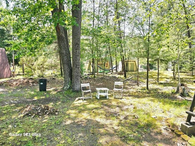 1461 Birma Trail, Beaverton, MI 48612