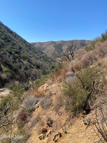 42930 Lake Hughes Road, Lake Hughes, CA 93532