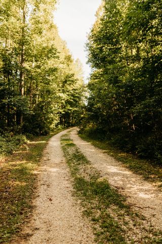 124 Ashley Ridge Road, Wellington, KY 40387