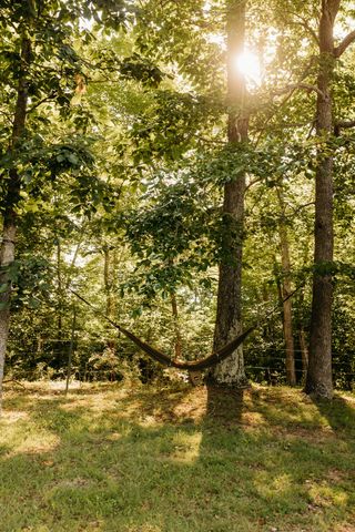 124 Ashley Ridge Road, Wellington, KY 40387