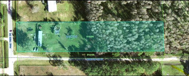 9115 PINE TREE DRIVE, Lakeland, FL 33809