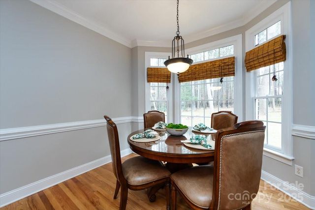 12430 Overlook Mountain Drive, Charlotte, NC 28216