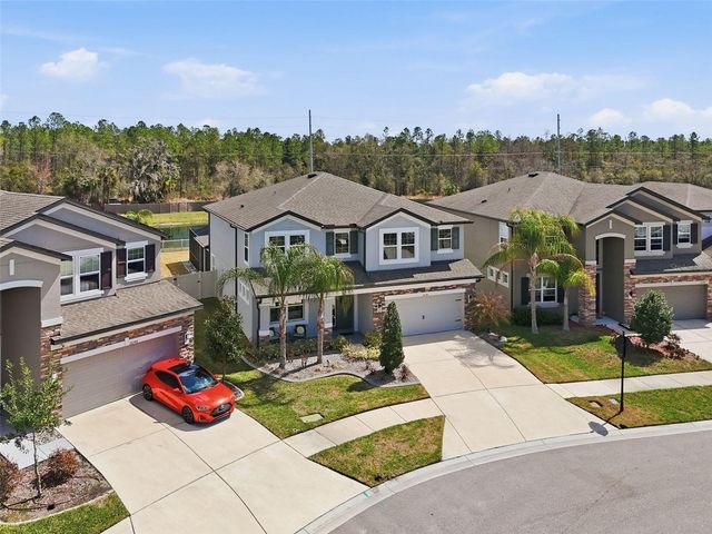 16146 MONTEREY GREENS CIRCLE, Tampa, FL 33647