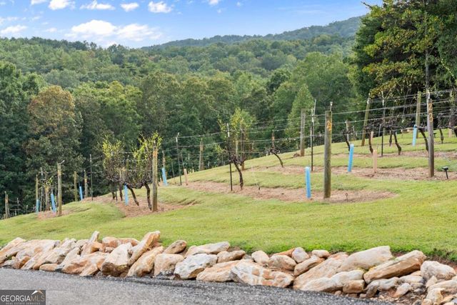 62 High Ridge, Cleveland, GA 30528