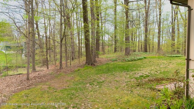 6520 W Galway Circle, Dimondale, MI 48821