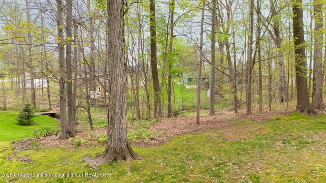 6520 W Galway Circle, Dimondale, MI 48821