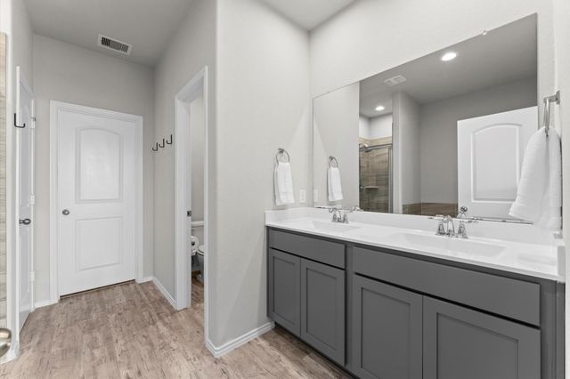 16875 Pink Wintergreen Drive, Conroe, TX 77385