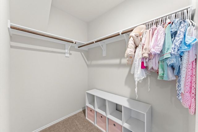 16875 Pink Wintergreen Drive, Conroe, TX 77385