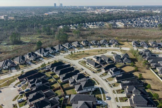 16875 Pink Wintergreen Drive, Conroe, TX 77385